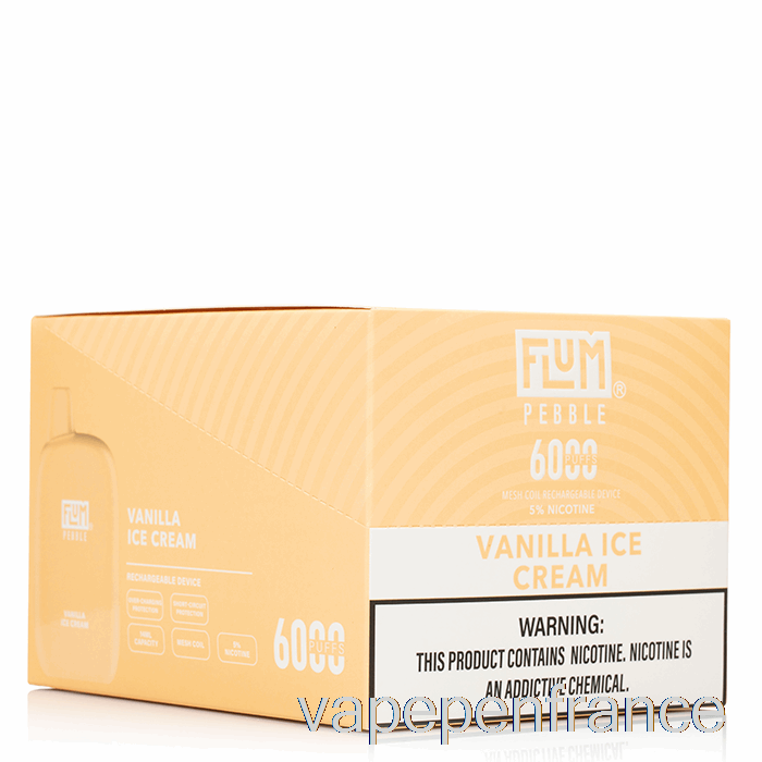 [Paquet De 10] Stylo Vape Jetable Flum Pebble 6000